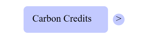 What Are Carbon Credits?