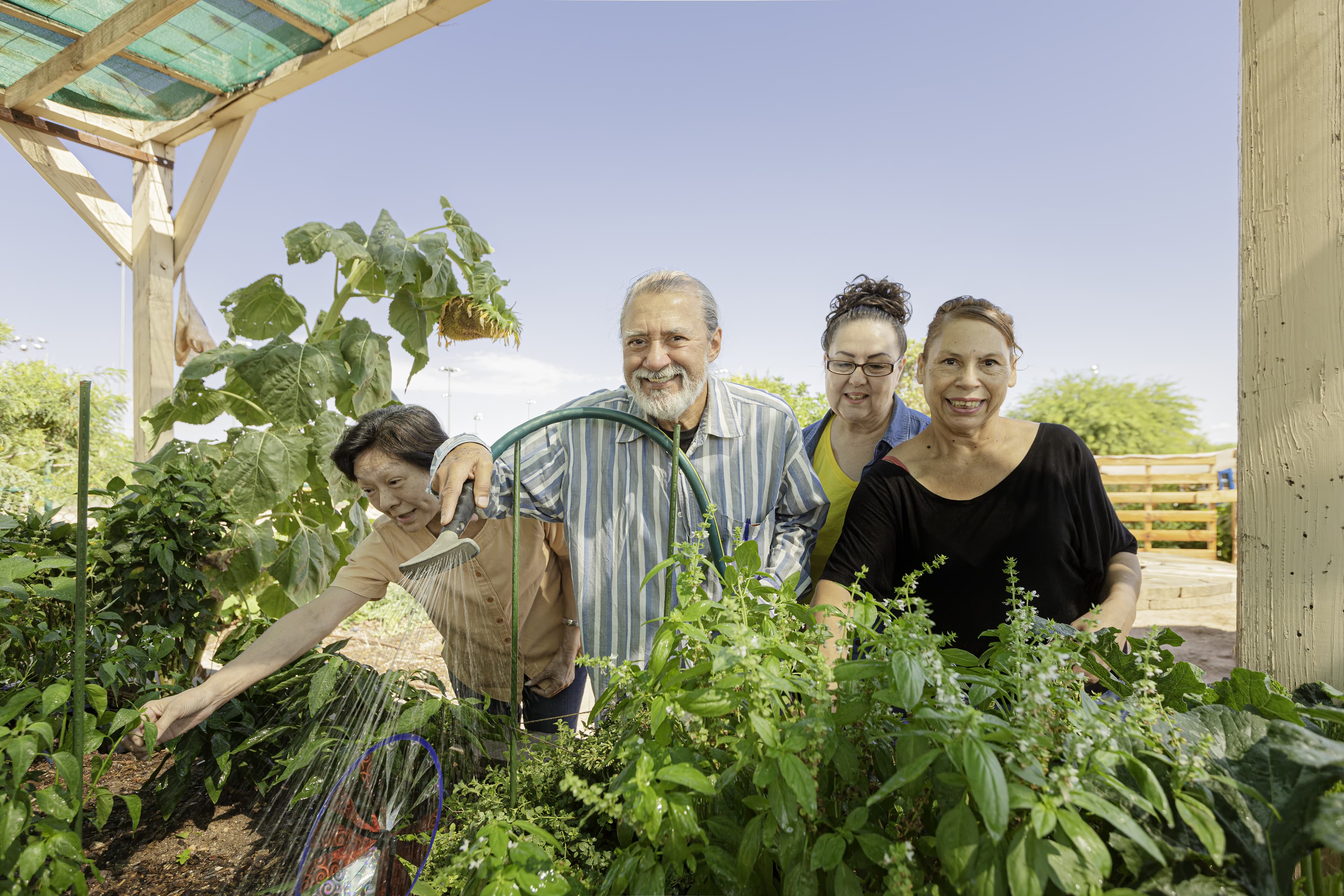 Community garden gathering