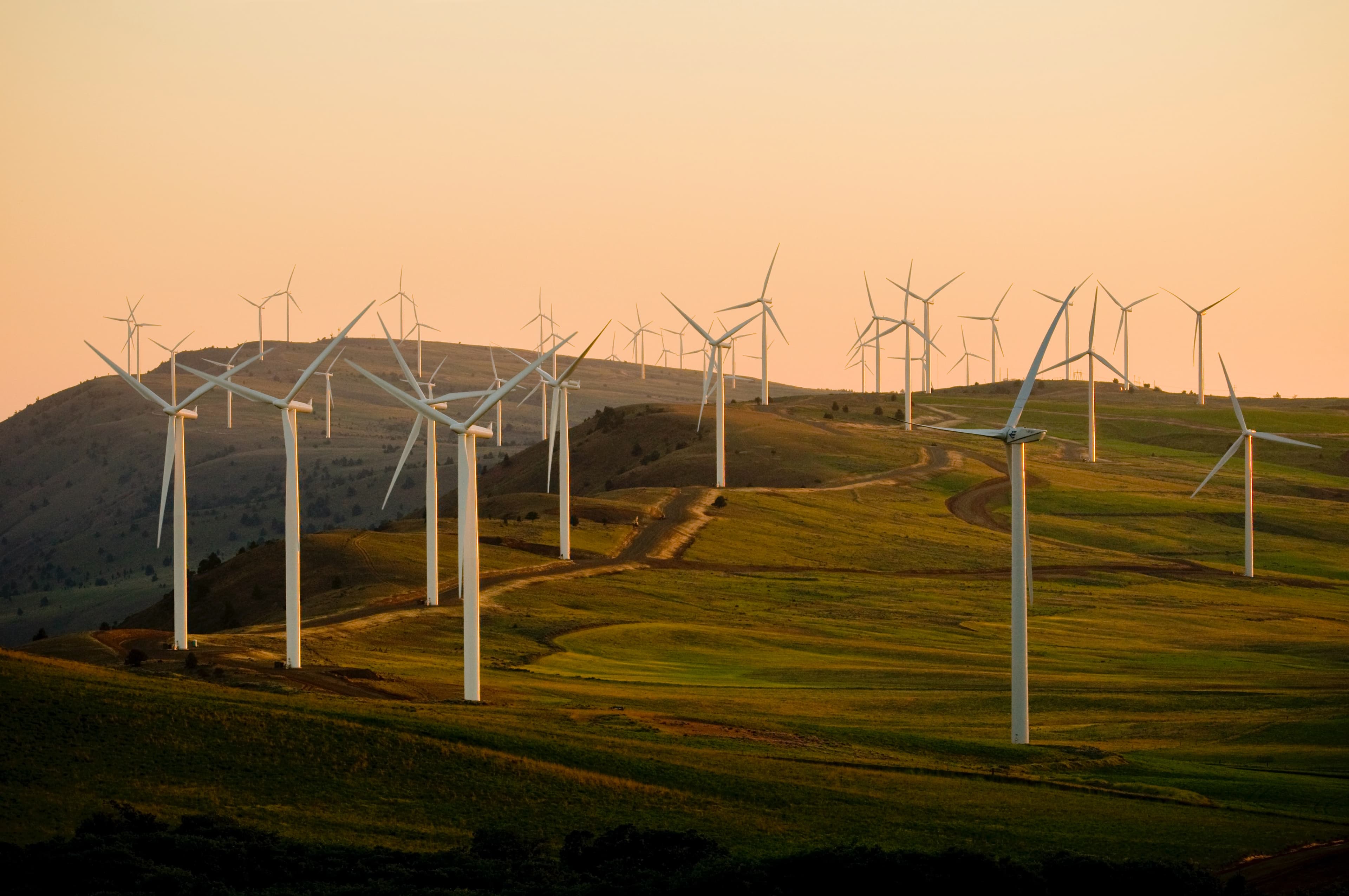 Green finance planning