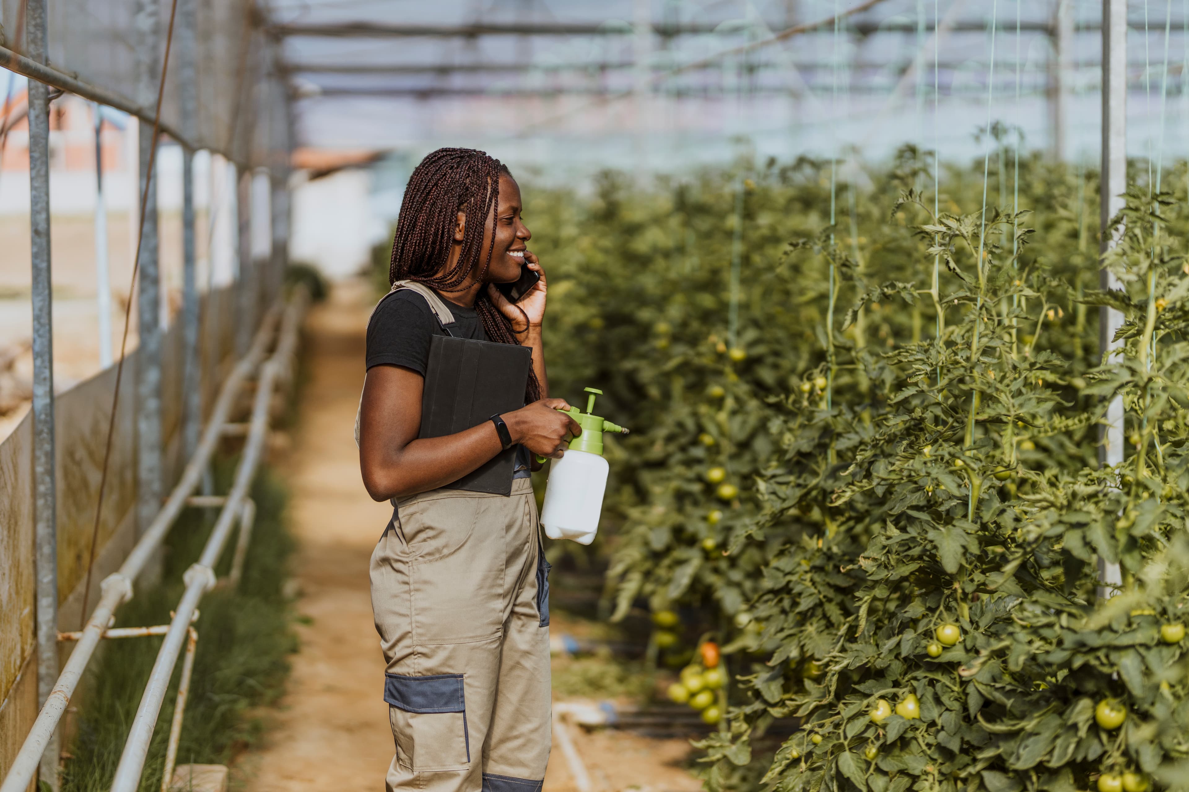 Greenhouse farming scene
