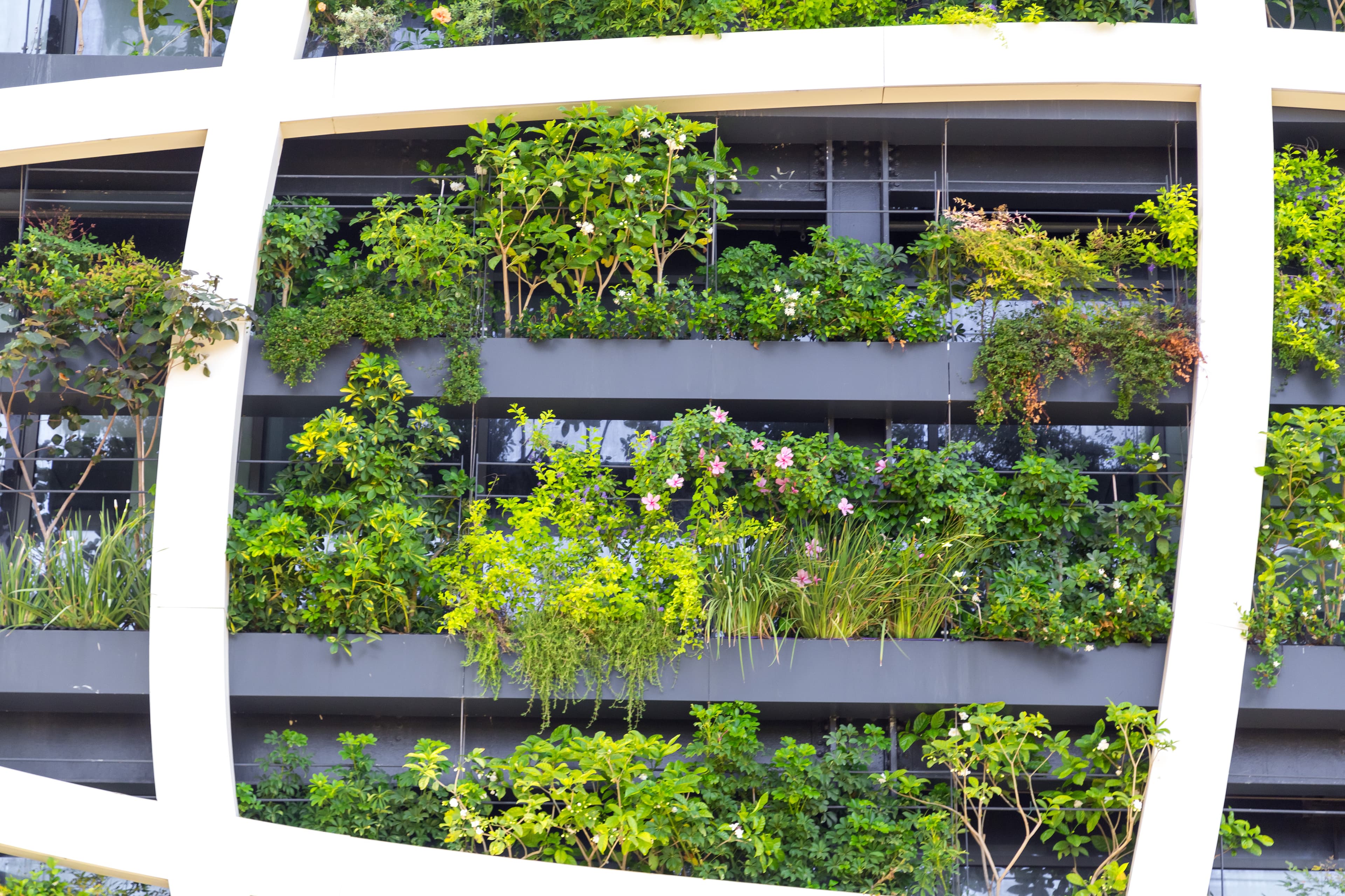 Vertical garden design