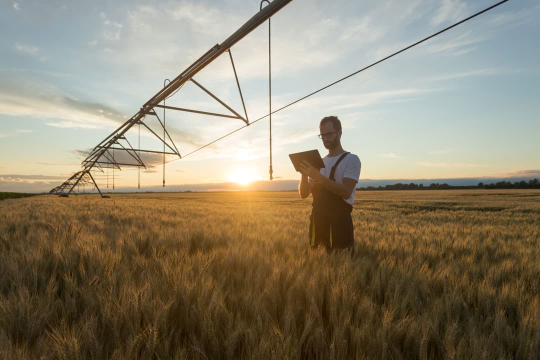 Farmer using a tablet