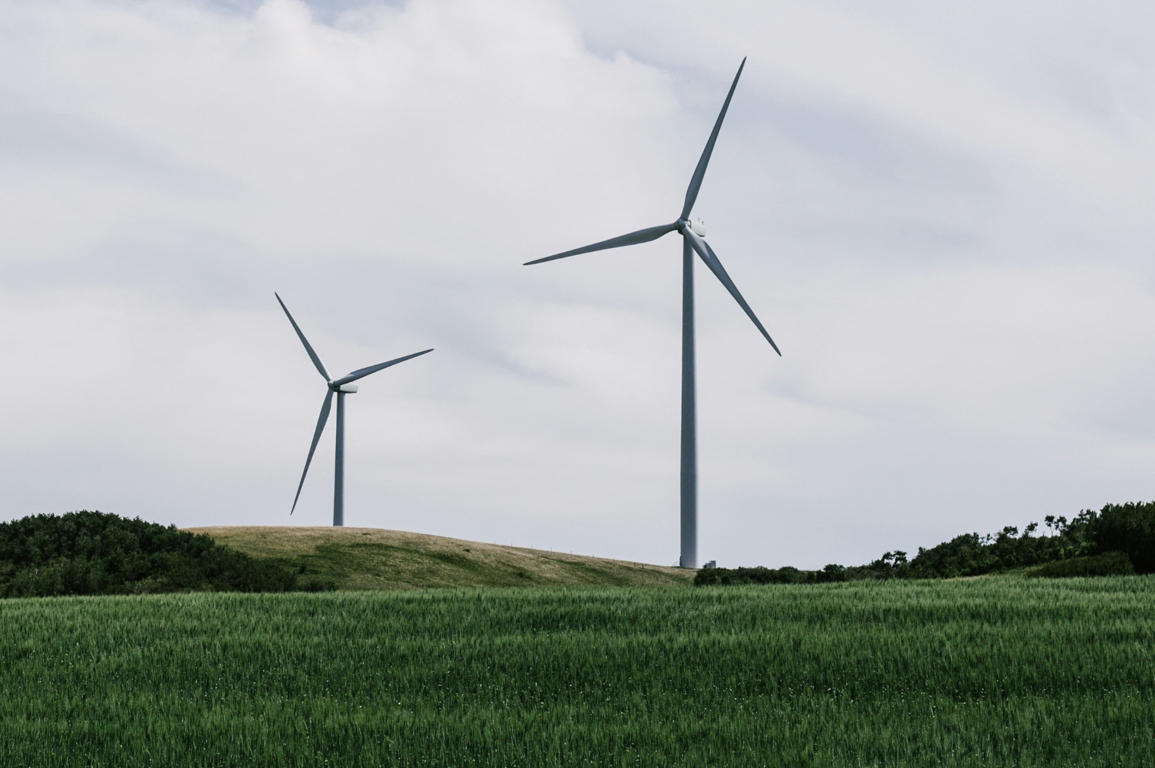 Public sector sustainability planning