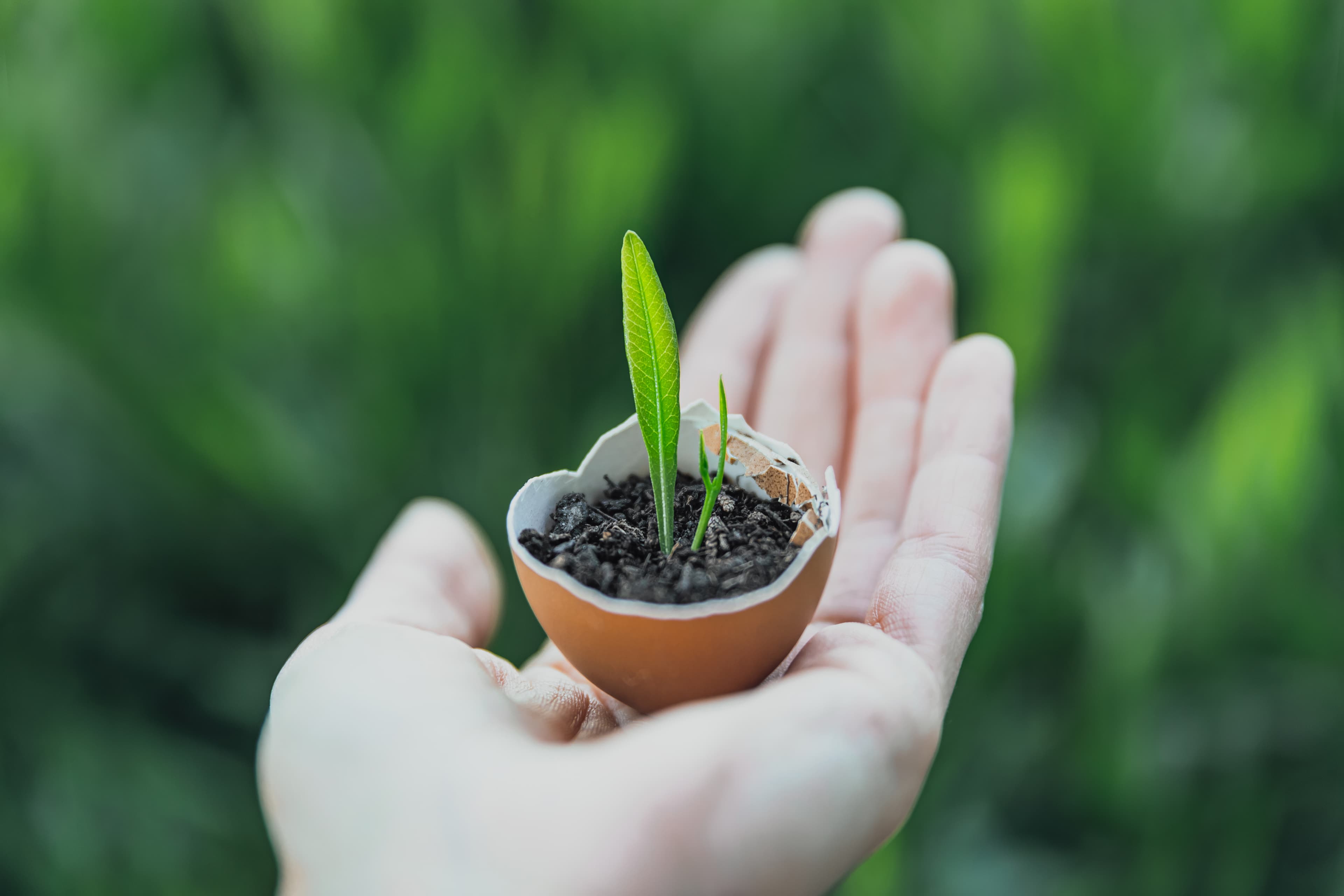 Sustainable growth