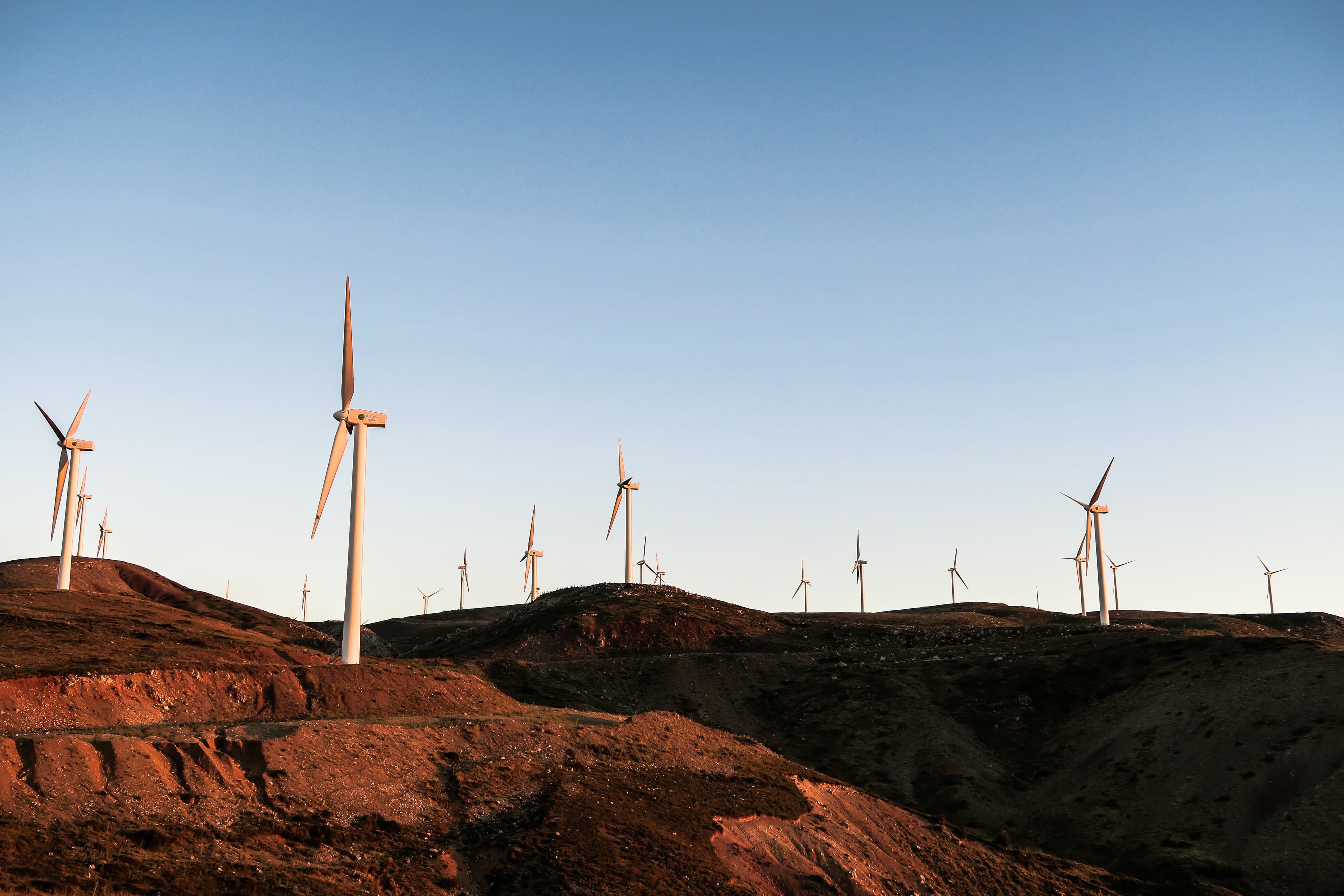 Wind turbine field
